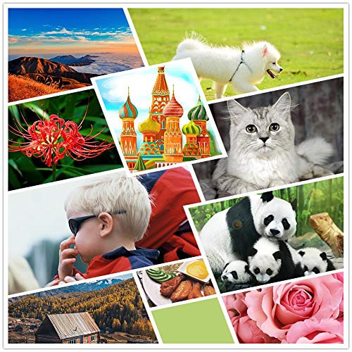 Tinta Y Tóner, Office Product cartuchos canon 140 y 141 Marca Generic (2)