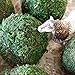 Qingbei Rina Large Green Moss Balls Decorative(4