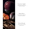 Product Photo 4
