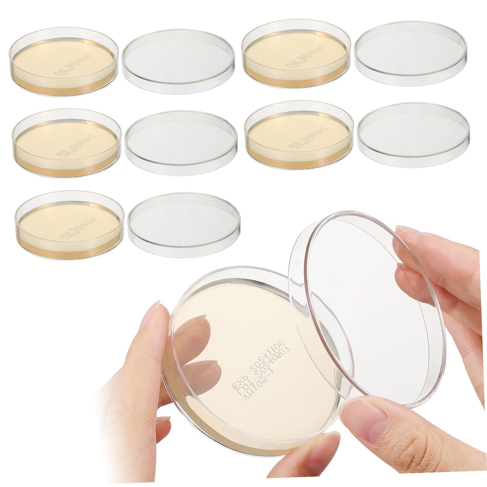 Placas de Agar Nutritivo 7cm, 10 Piezas, Cultivo Listo para Laboratorio | Suministros para Experimentos de Microbiología, Placa de Petri de Agar, Decoracion Colegio