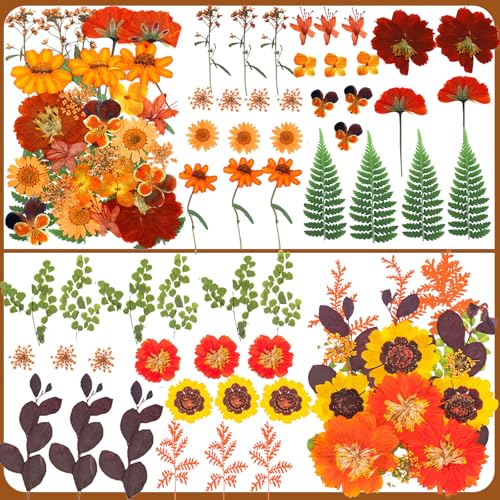 Flores prensadas secas otoño para manualidades 103 piezas miniatura 2
