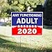VIBE INK Any Functioning Adult 2020 18