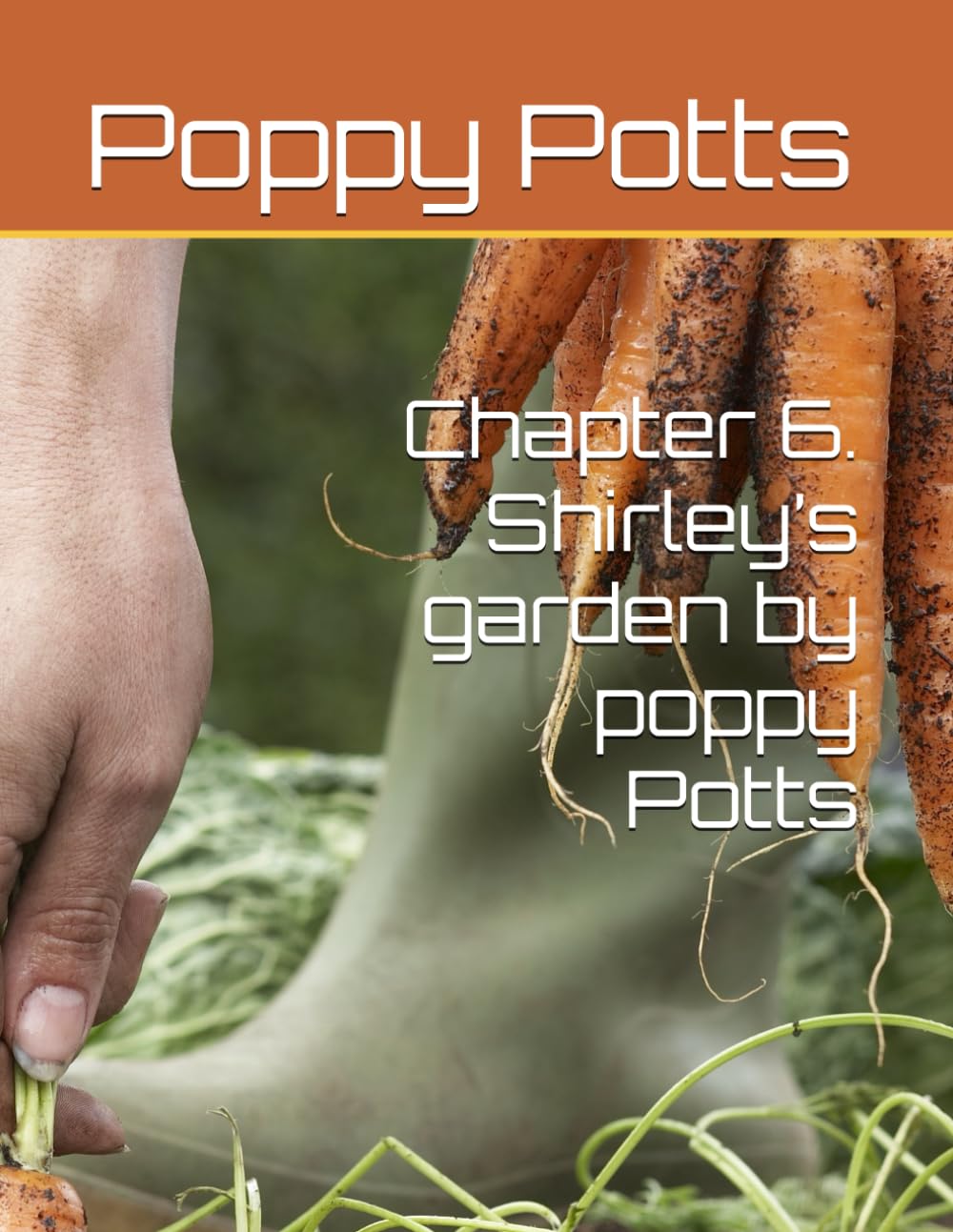 Chapter 6. Shirley’s garden by poppy Potts (Shirley’s garden billy and Benny’s adventures , by poppy Potts)