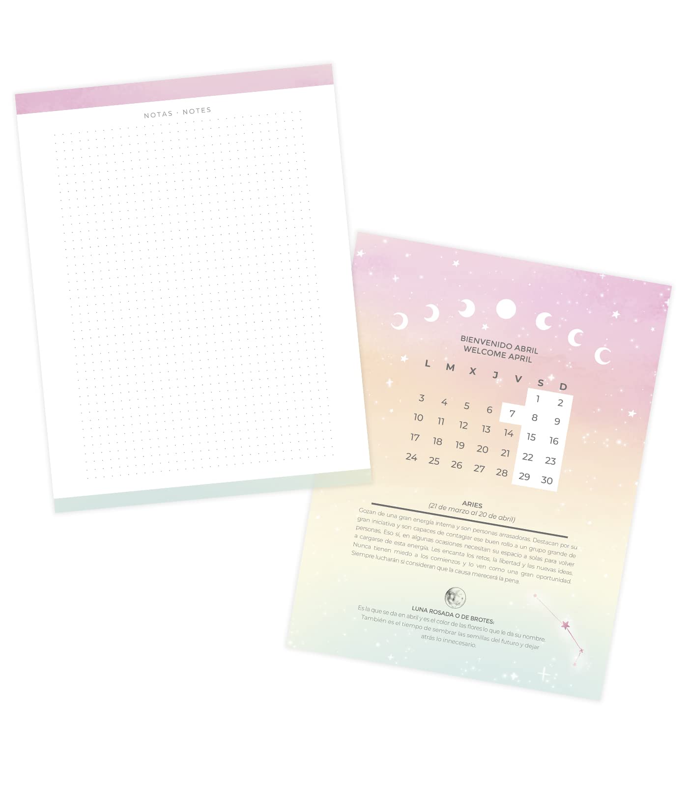 Takenote - Calendar January 2023 December 2023 - Day Page - Size 15 x 21 cm (A5) - Bilingual: Spanish - English - Angelina - Image 3