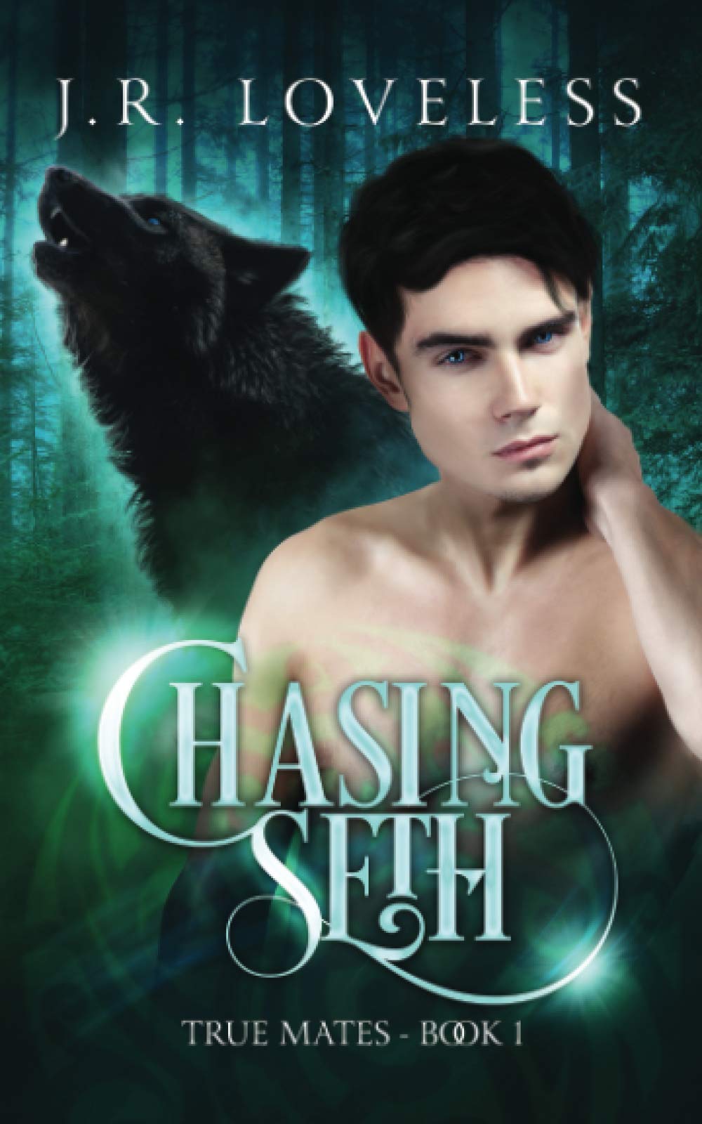 Chasing Seth: A Rejected Fated Mate MM Gay Romance Novel (True Mates)