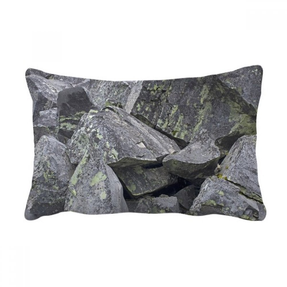 Coussin de canapé déco 16x24 pouces motif papier peint pierre craquelée et mousse végétale