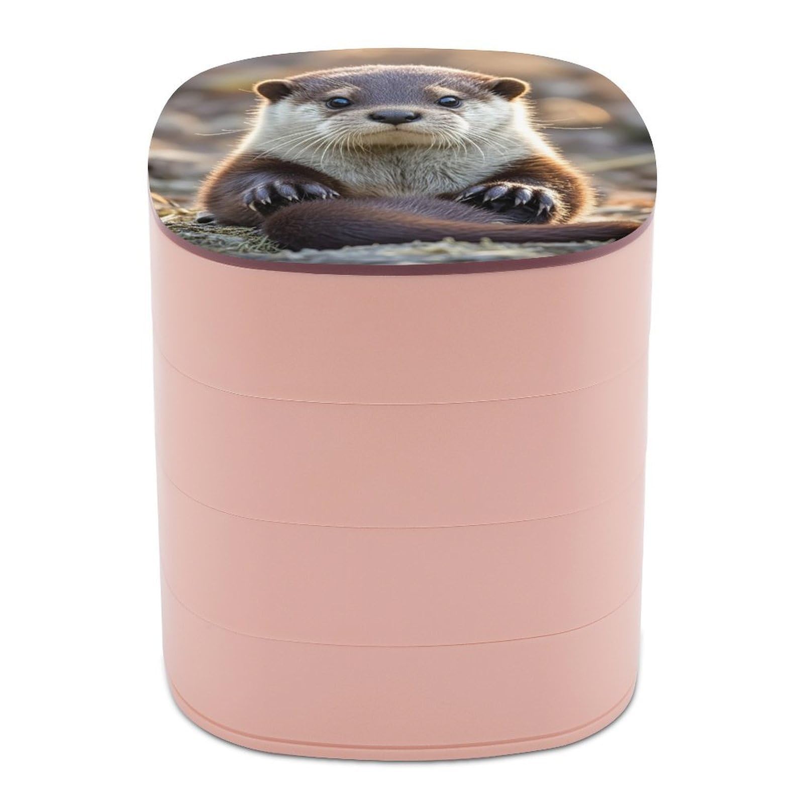 LZQPOEAS Cute Otter Jewelry Box with Mirror 4-Layer Rotating Travel Jewelry Case Small Jewelry Organizer Portable Jewelry Storage Box Rings Stud Necklaces Earring Holder for Women