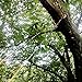 48 Inch High Reach Tree Limb Hand Rope Chain Saw and Blades on Both Sides-Best Folding Pocket Chain Saw for Your Camping,Field Survival Gear,Hunting.