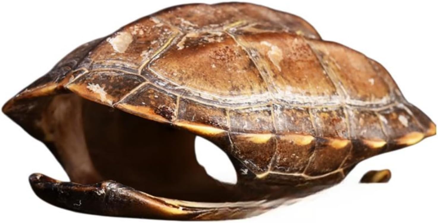 天然八卦易经用品六爻工具周易64卦龟壳铜钱 fengshui Chinese Tassel Ornaments-1900