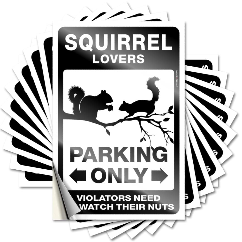 Bumper Life Durable Vinyl - Squirrel Lovers Parking Only Laptop for Friends Use(8X12CM)