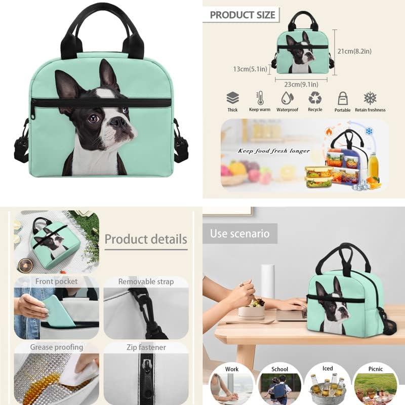 Turquoise Boston Terrier 3-Piece Backpack for Boys and Girls School Bookbags Cute Puppy Dog French Bulldog Insulated Lunch Bag Pencil Case Cushioned Straps Travel Outdoor Backpack