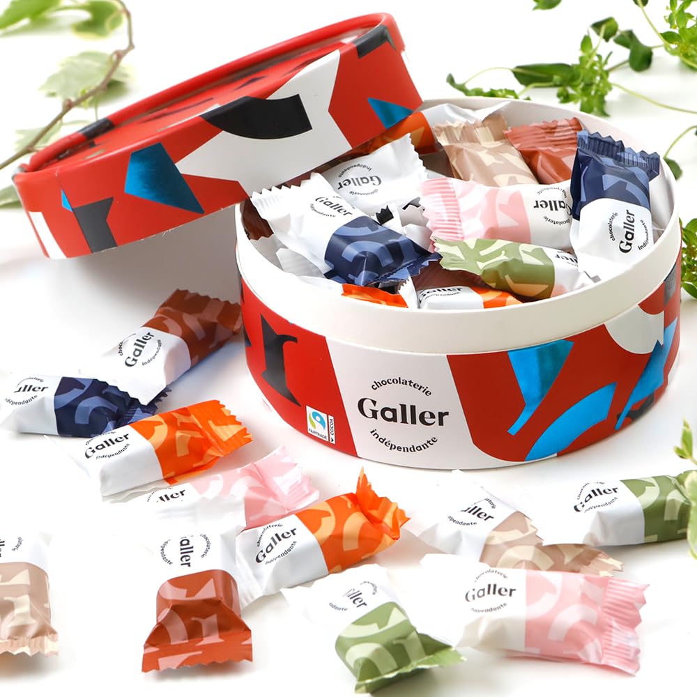 Amazon.co.jp: Galler ガレー チョコレート ギフト ナノバー30個入  