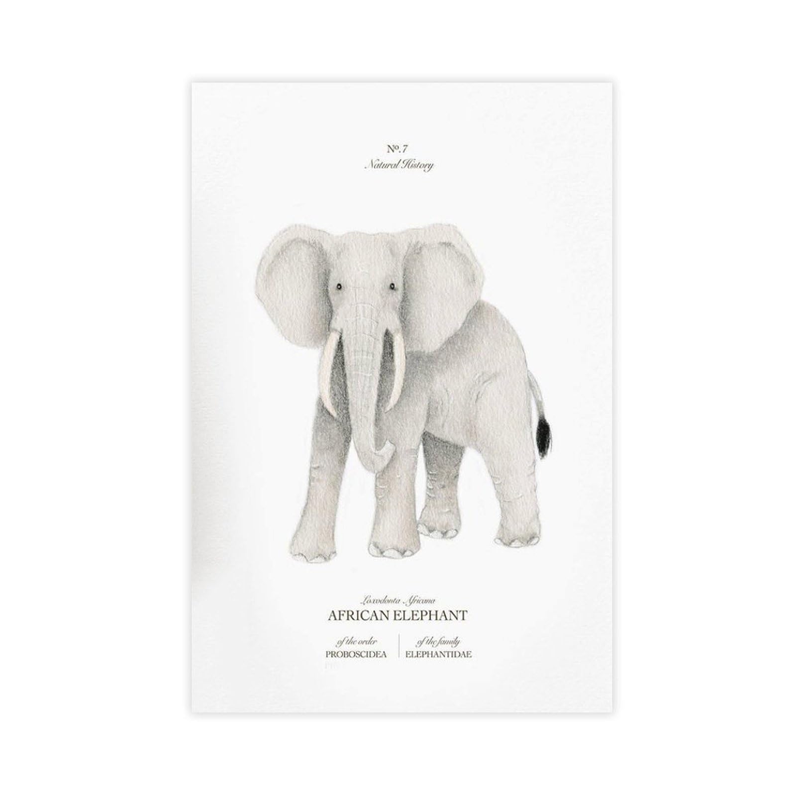 Bareronor African Elephant Poster Canvas Poster Bedroom Decor Landscape Office Room Decor Gift 24" L X 36" W