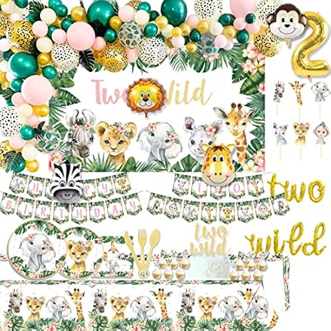 Decpty Two Wild Birthday Decorations for Girl Safari Jungle Balloon Pink Tropical Palm Leaves Backdrop Photo Banner Garland Party Supplies for Girl Cover