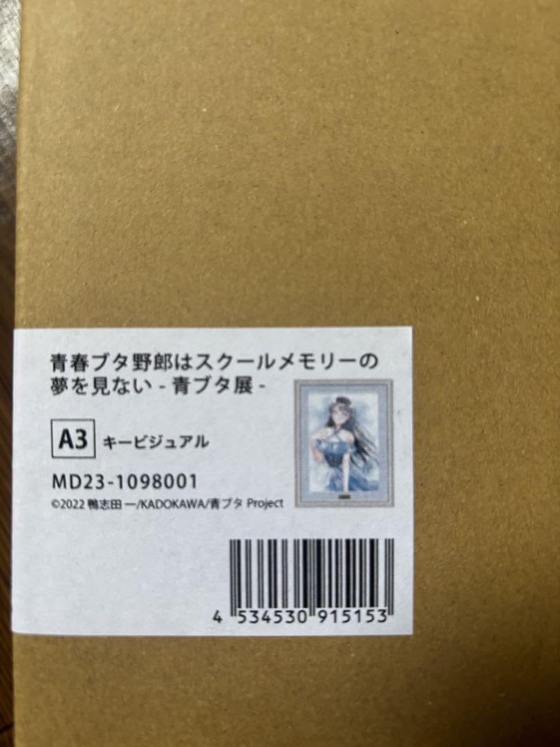 青ブタ キャラファイングラフ バラ売り不可 青春ブタ野郎はスクールメモリーの夢を見ない -青ブタ展- キャラ