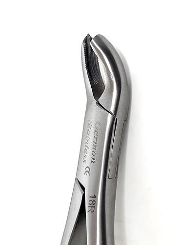Miniatura 4 de Juego de 2 fórceps de extracción dental 18L + 18R con mandíbulas dentadas utilizadas para extraer molares superiores derechos e izquierdos de The
