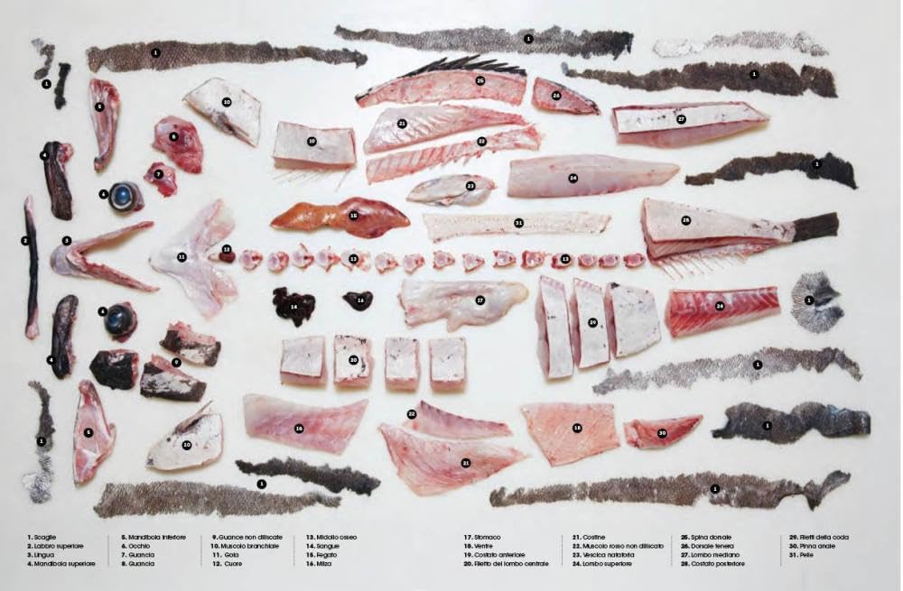Il grande libro del pesce