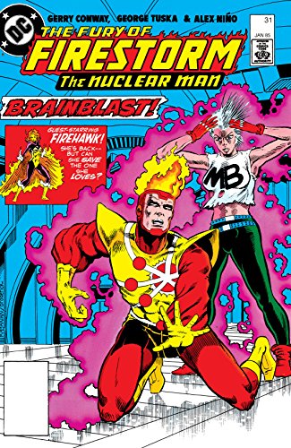 Cover of The Fury of Firestorm (1982-1990) #31