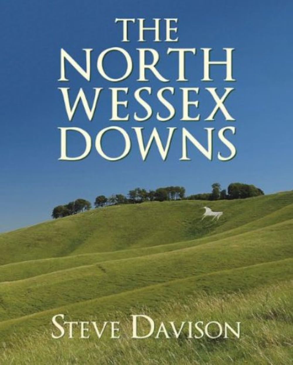 The North Wessex Downs by Davison, Steve