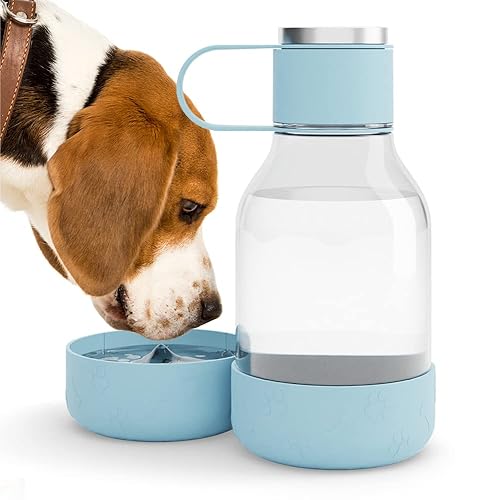 Asobu Buddy Bottle Insulated with Bowl