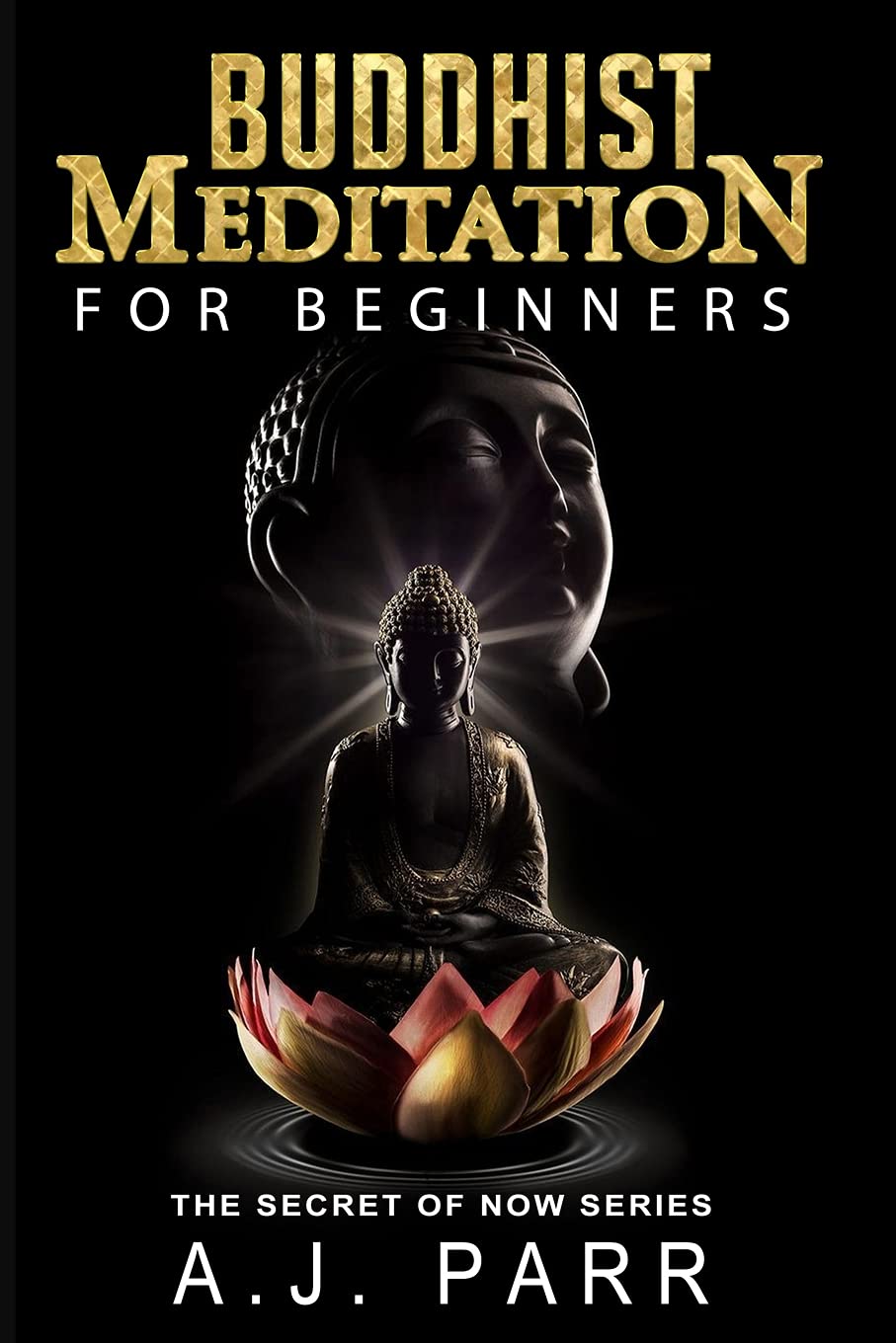 Buddhist Meditation for Beginners: (Understanding Dalai Lama, Eckhart Tolle, Jiddu Krishnamurti & Alan Watts) (The Secret of Now)
