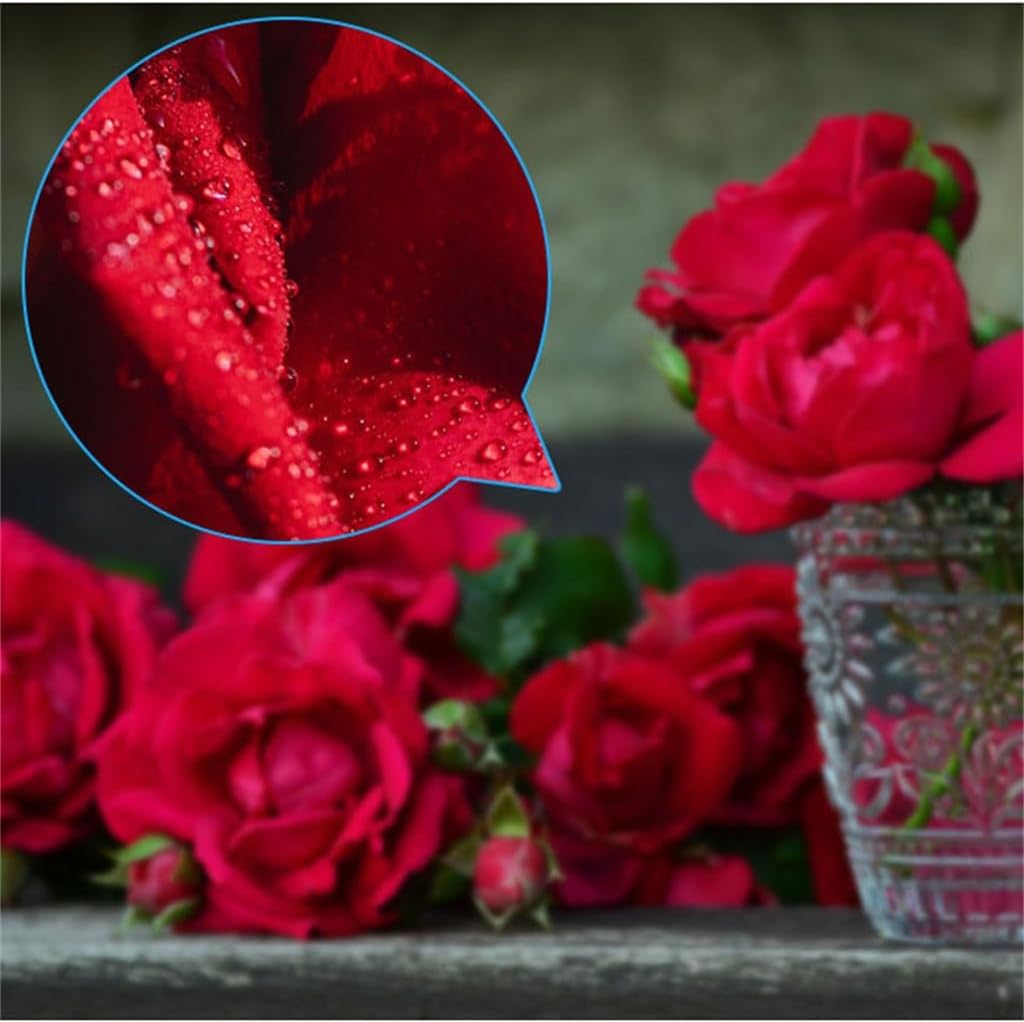 LED Desktop Magnifying Glass Optical Glass Lens Flexible Magnifying Glass (Color : D, Size : 5/15x)