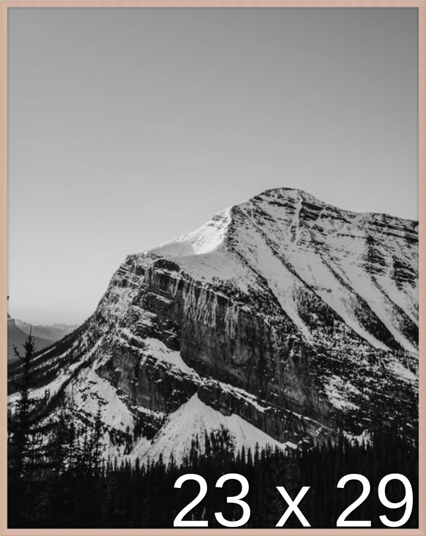 Frame It Easy 23 x 29 Rose Gold Metal Frame (Ashford)