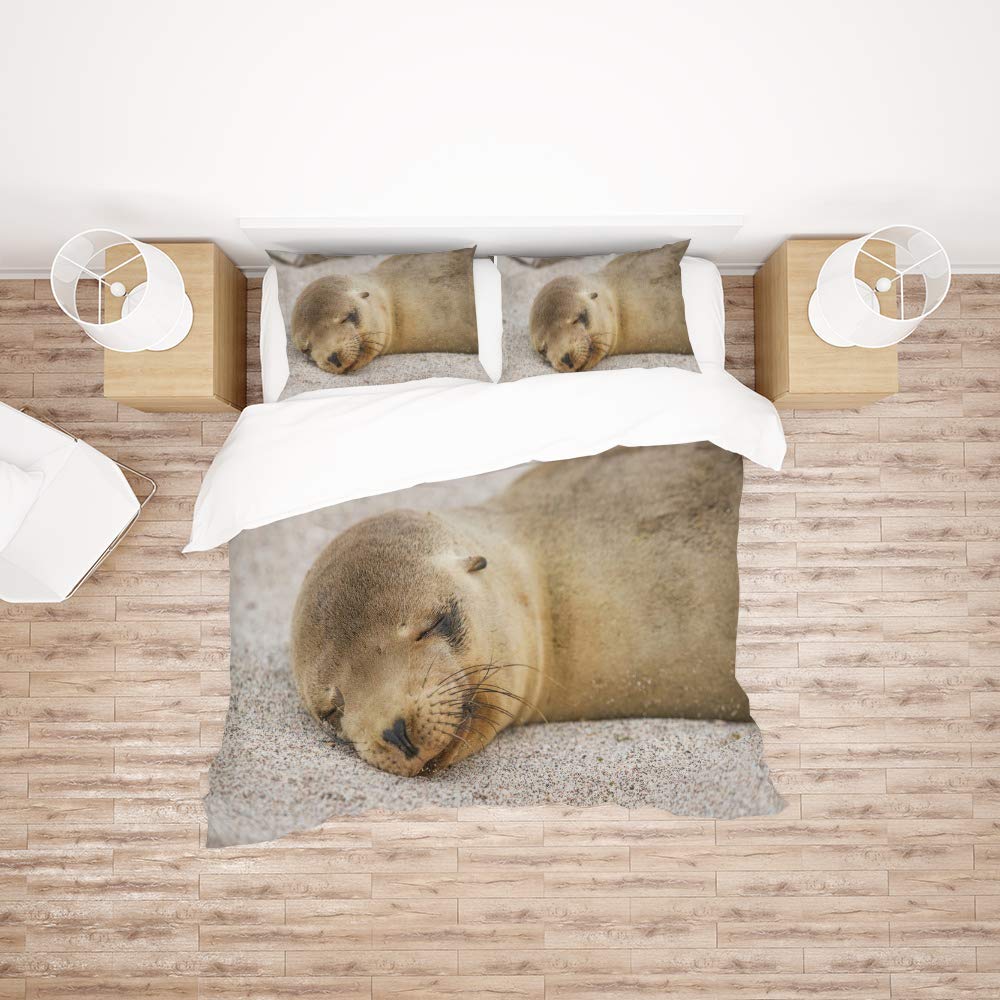 Housse de couette King 3 pièces imprimée avec 2 taies d'oreiller douces
