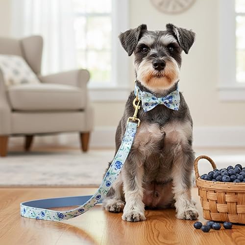 Miniatura 173 de PETDURO Collar de perro personalizado con nombre y teléfono grabado en hebilla de metal – Personalizado para perros medianos y grandes – Impresiones