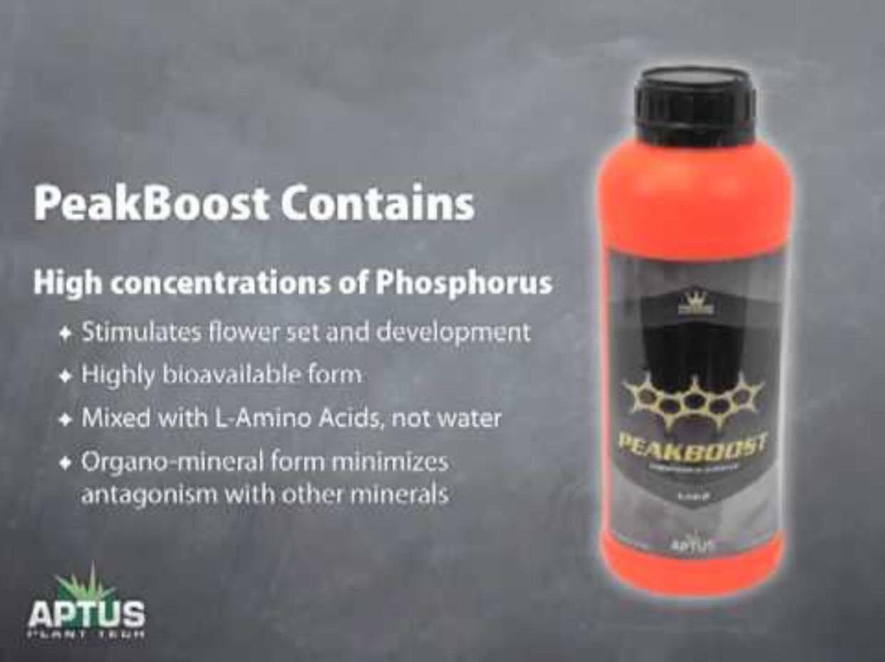 Aptus Peakboost 1L .#GH45843 3468-T34562FD670372
