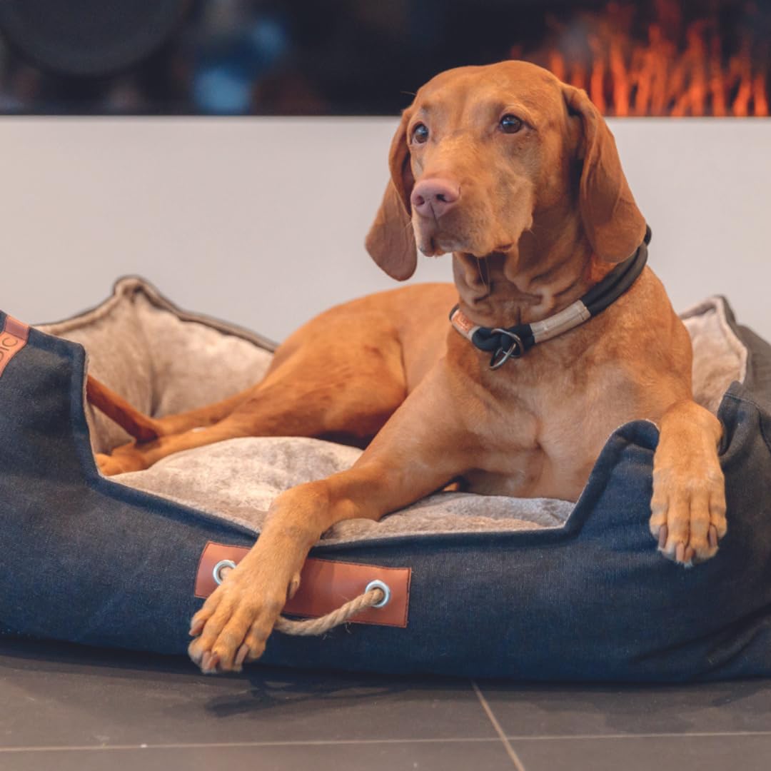 TRIXIE Hundebett Föhr eckig 100 x 80 cm, mit Tragegriff – schwarz/Sand | Gemütliches Hundekörbchen, weich und waschbar – für kleine & große Hunde, angenehm weicher Liegekomfort – Be Nordic