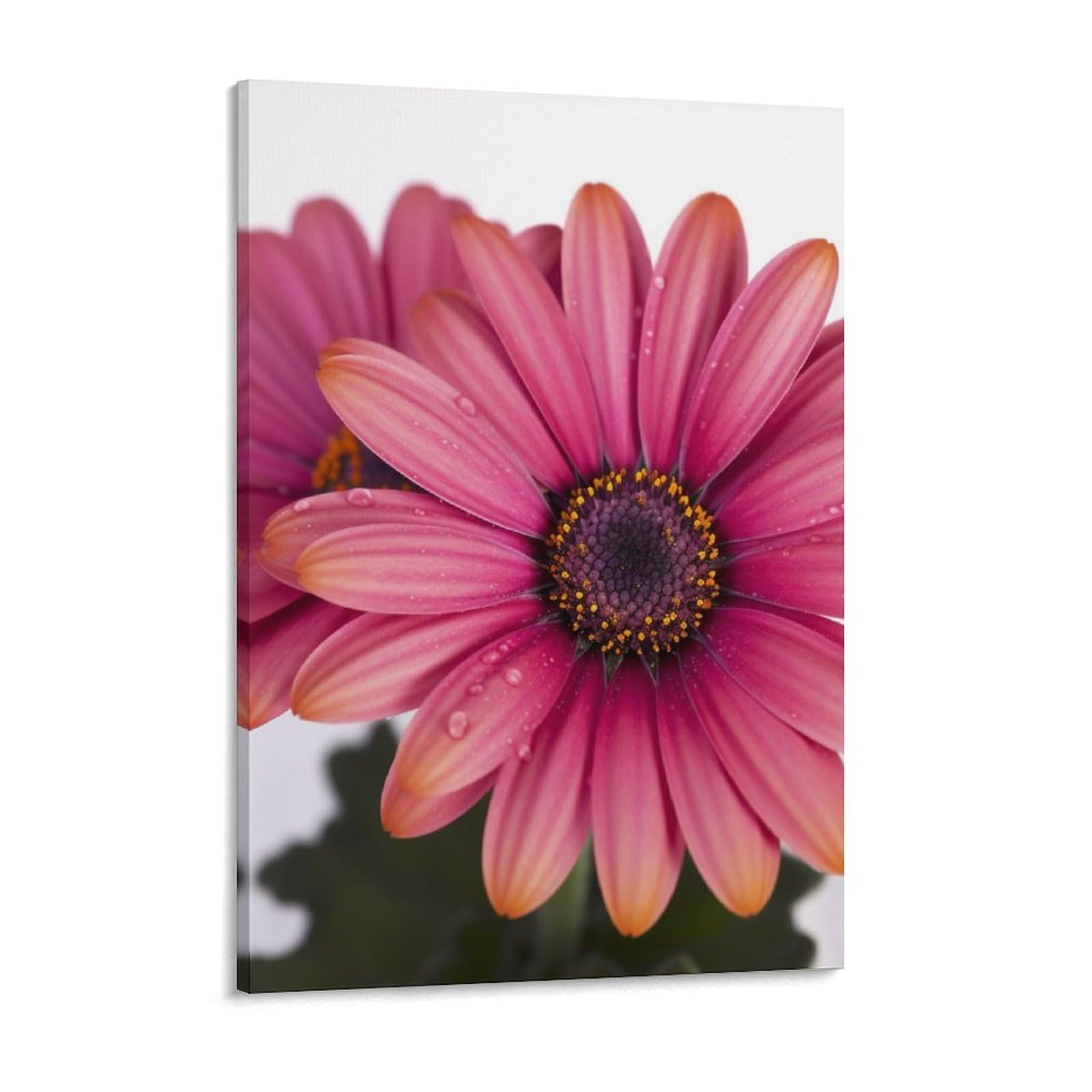 NTVOWPZO Daisy Flower Canvas Wall Art for Bedroom 12x16inch Canvas Prints Artwork for Walls Modern Picture Artwork Painting for Living Room Aesthetic Wall Paintings for Bathroom Kitchen Office Decor