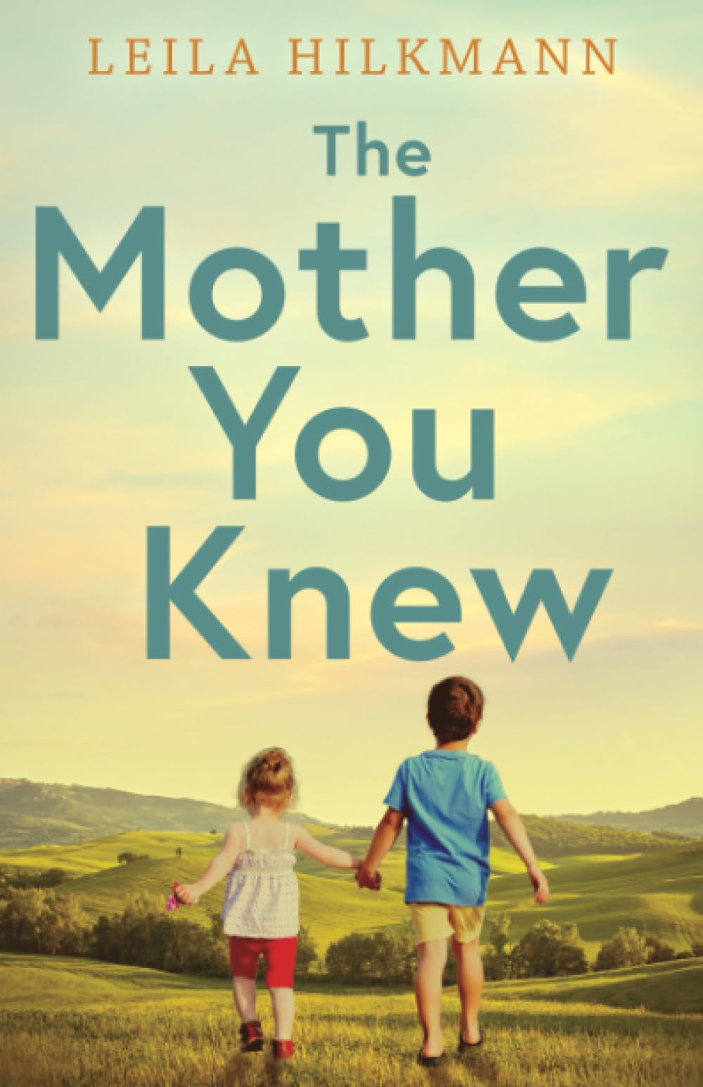 The Mother You Knew: A Novel Based on a True Story