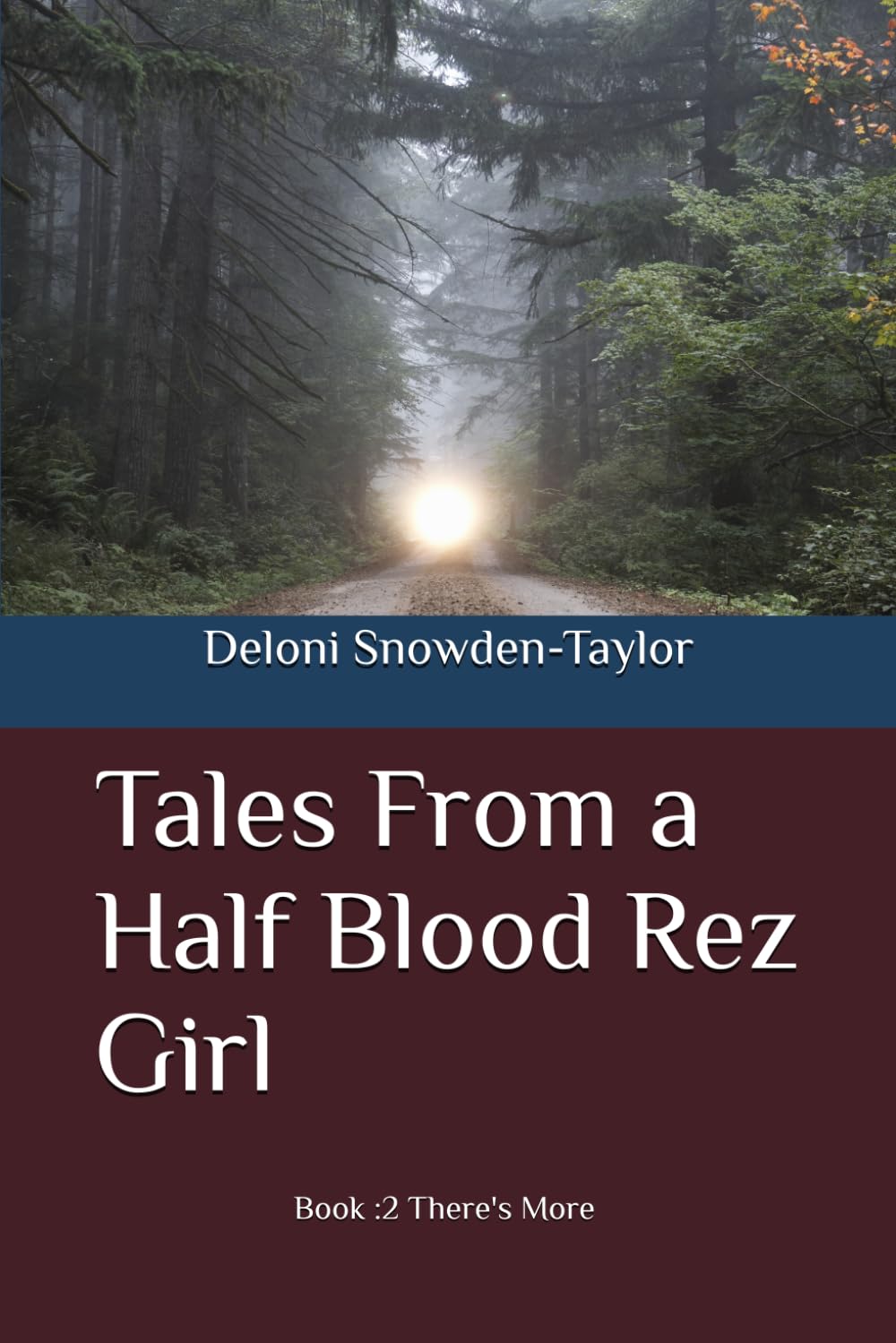 Tales From a Half Blood Rez Girl Book 2 There's More: Short Story Collection (Tales From a Half Blood Rez Girl - short story collection)