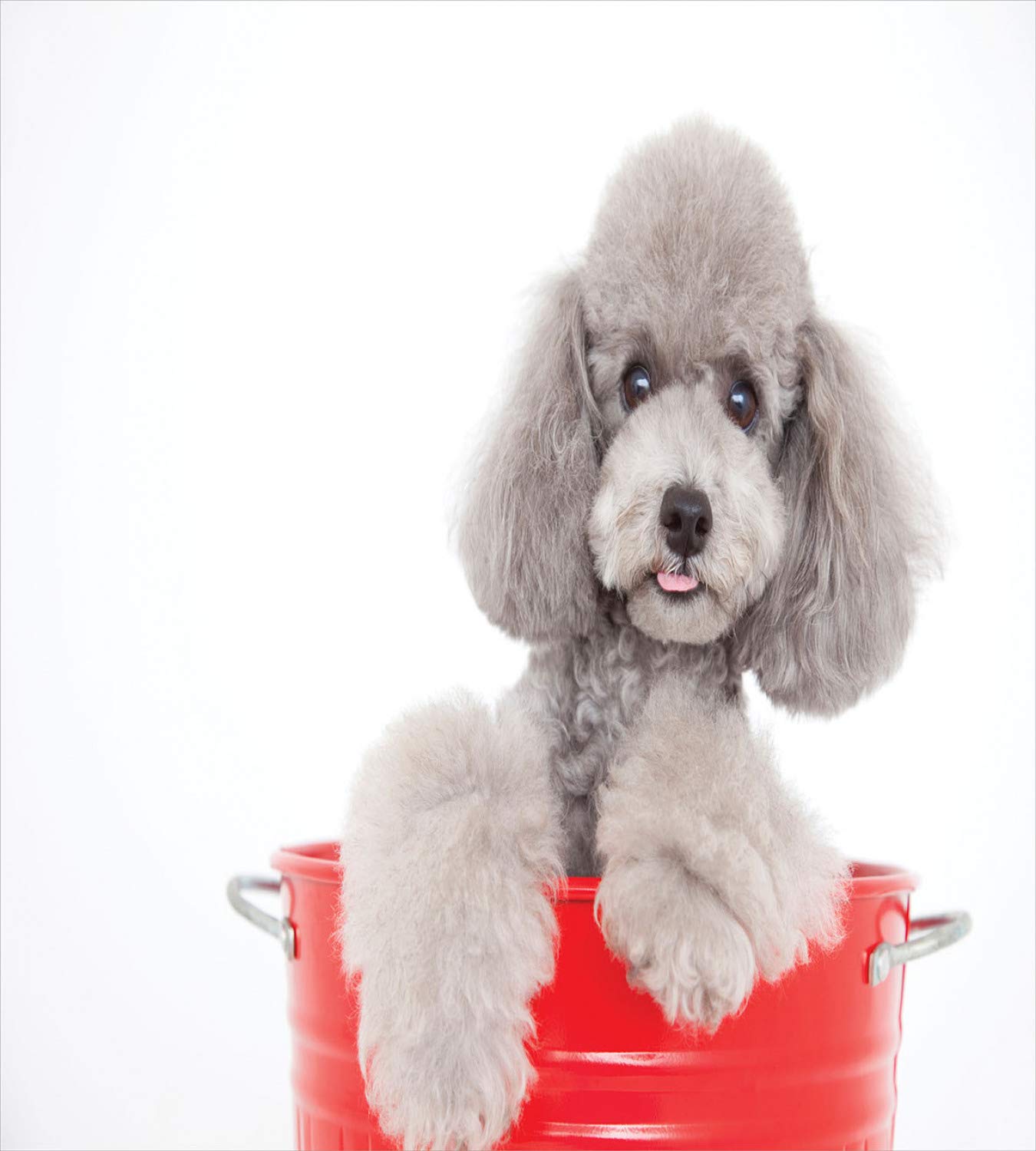 Austin Horn Classics Traversin à Col Avec Fermeture à Glissière Austin Horn Classics Sunbrella