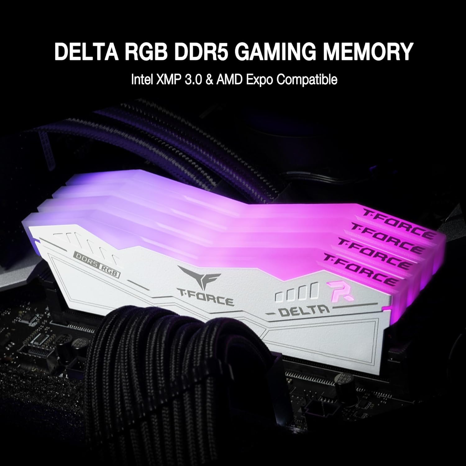 Amazon.in: Buy TeamGroup T-Force Delta RGB 2x32GB 6400MHz (6400MT