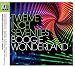 Twelve Inch 70S: Boogie Wonderland