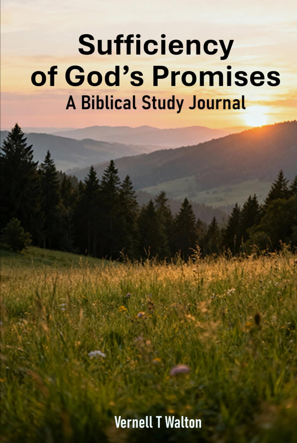 Sufficiency of God's Promises: A Biblical Study Journal