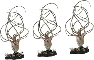 NOLITOY 3 Pçs Ornamento De Planta De Réptil Anfíbio Merch Recipientes De Vidro Plantas Falsas Réptil Escalada Planta Simulação Decoração De Plantas Plantas Anfíbias Artificiais Aquário