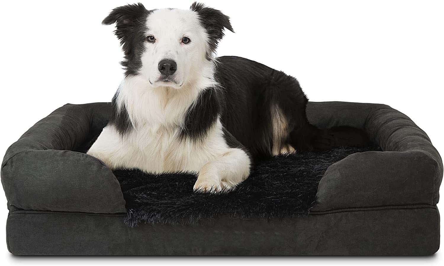 AMICA Premium Plush, Foam Fiber Filled Oxford Fabric Material Dog & Cat Beds (B0B1VWJGZF) Amazon Price History, Amazon Price Tracker