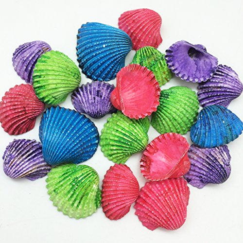 PEPPERLONELY 20 PC Dyed Assorted Colors Medium Arks Sea Shells, 1-1/2 Inch ~ 2 Inch