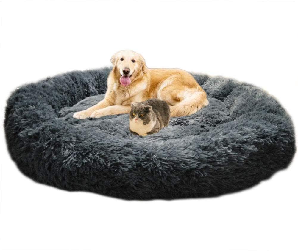 ergonomic dog bed