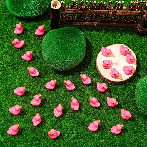 Outus OUTUS-MINI RESIN DUCKS-87 150 Pcs Mini Resin Ducks Pink Tiny Ducks Miniature Ducks Bulk Small Plastic Duckies Figures For Valentine'S Day Office Home Hide And Seek Prank Game Craft Dollhouse Party Favors Gift thumb #4