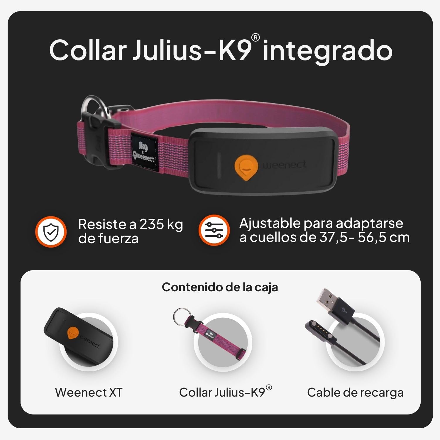Weenect Dog XT - Nuevo Collar GPS para Perros | Antena XL | Impermeable | Collar Rosa Ultra-Resistente Integrado Julius-K9 | Garantía de por Vida | Suscripción requerida