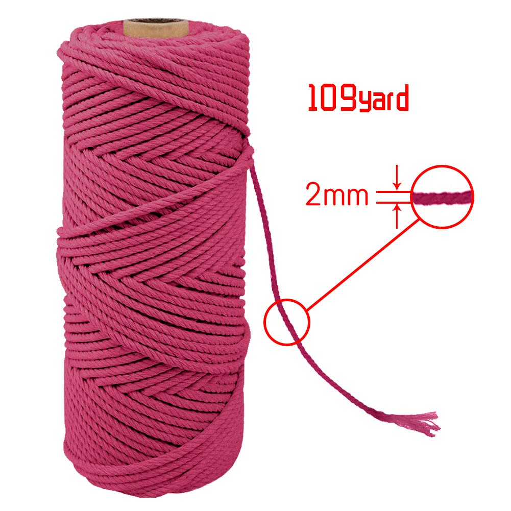 POZEAN Corda Macramè In Cotone Naturale, 2mm X 200m, Morbida E Resistente, 20 Colori, Per Fai Da Te E Decorazioni Bohémien
