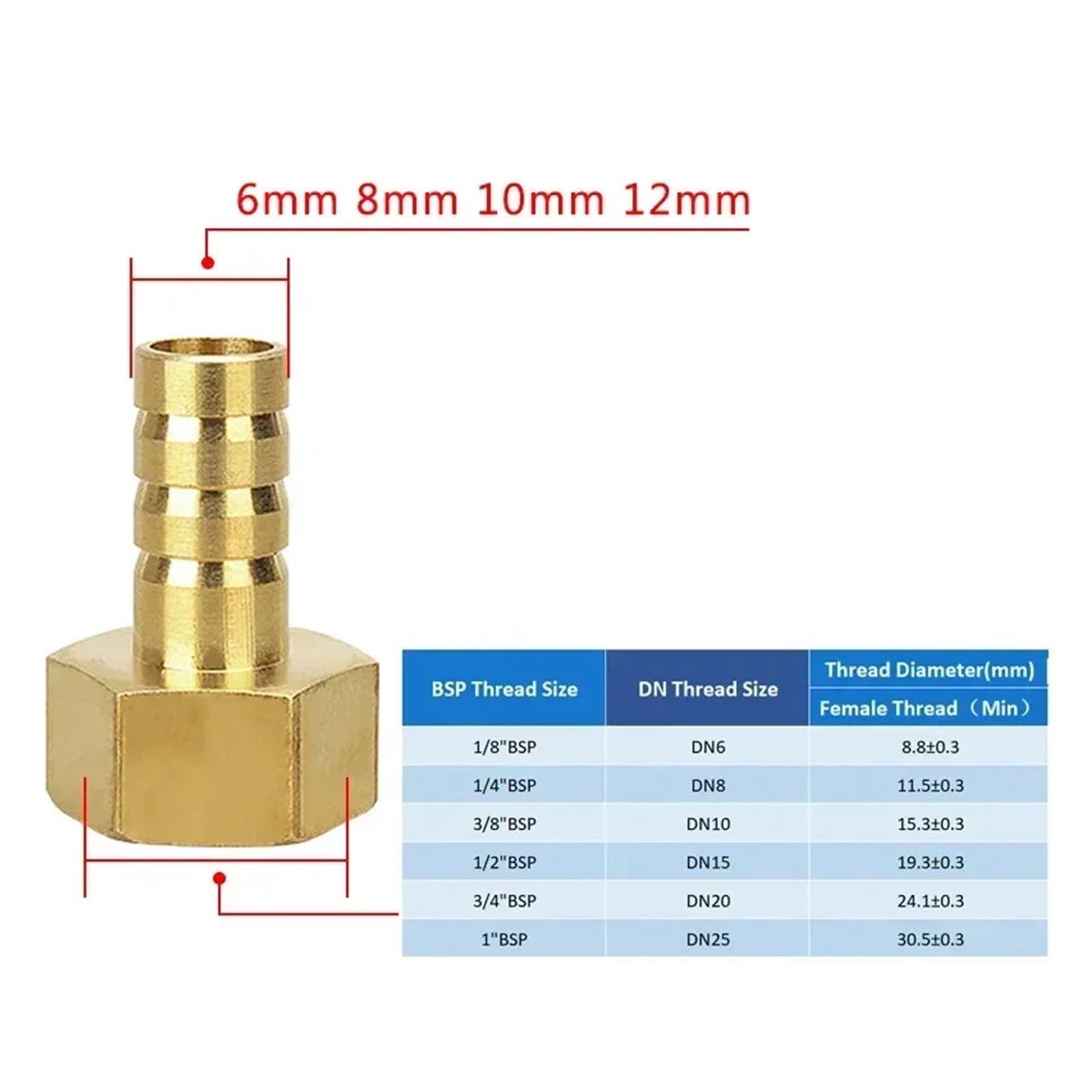 Brass Hose Barb BSP Connector 1/4-1/2" M/F | Pipe Fitting Reducer Air/Water/Fuel(Barb 8mm-1I2,PCF (20 PCS))
