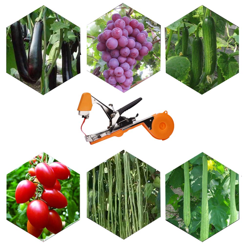 Machine À Taper Nouer Branches, Outil Agriculture Manuelle pour Attaches Plantes, pour Jardin Fruits Légumes Fleurs Tomates Vigne, Outil de Jardinage À Attacher Branche - Plant Tape Tying Tool