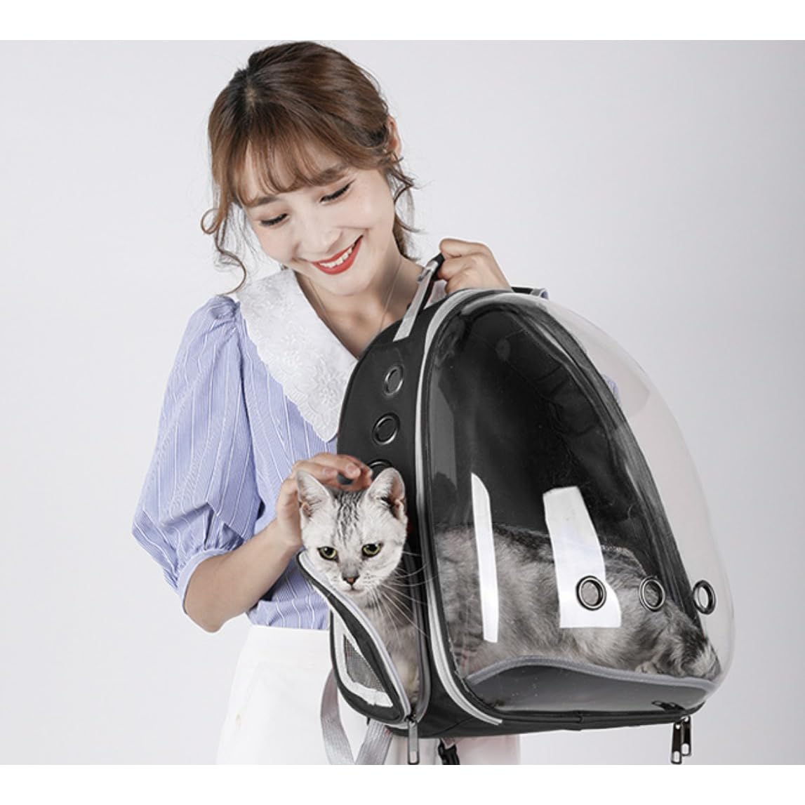 Haustier Rucksack Purlov mit transparentem Plexiglas Atmungsaktiv Raumkapsel für 10kg 23309