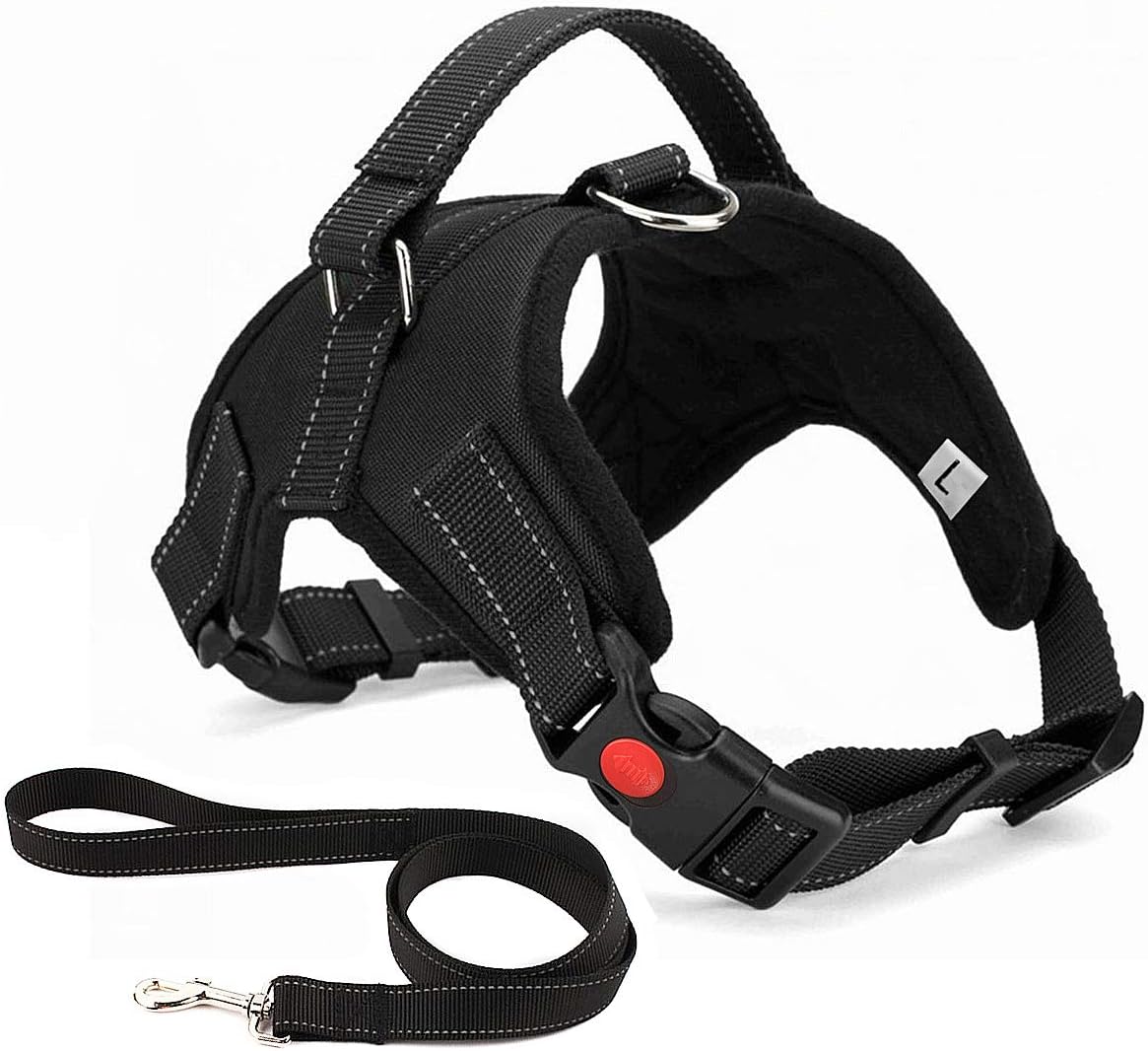 No Pull Dog Harness, Breathable Adjustable Comfort, Free Leash Included, for Small Medium Large Dog, Best for Training Walking Black XL