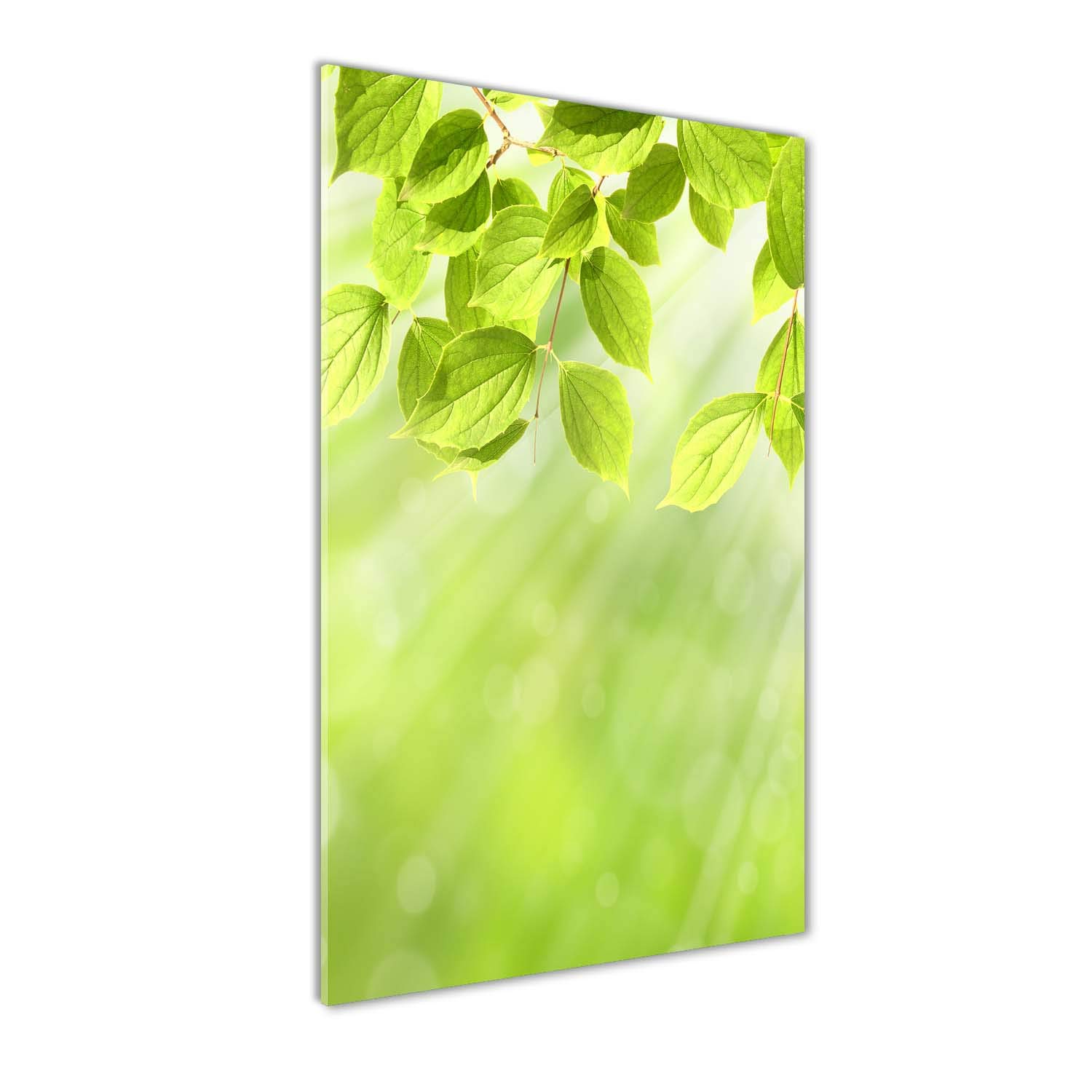 Impression sur verre acrylique Tulup 70x140 design haut de gamme